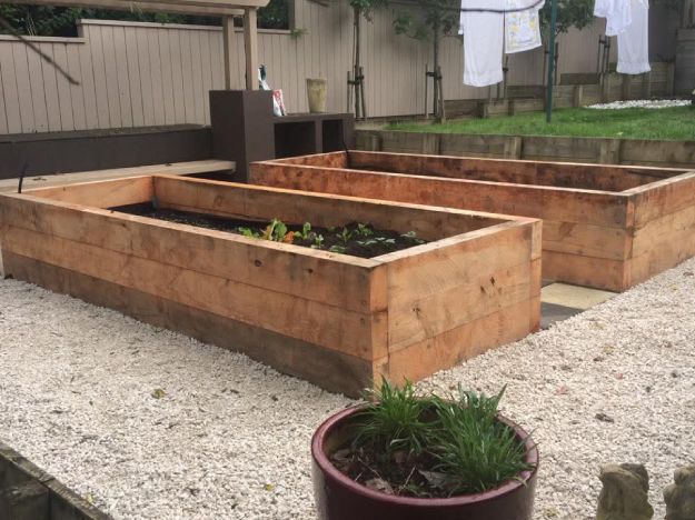 Macrocarpa sleeper planter build, Mt Eden